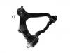  Control Arm:48066-29075