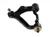 Control Arm:48067-29075