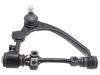  Control Arm:48066-29165