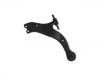  Control Arm:48069-06090
